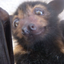 Discovery icon for Unalom Van Discord server