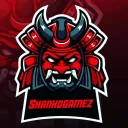 Shankogamez's server