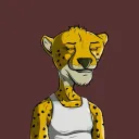 Stalking Cheetahs | NFT