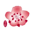 中華航空 China Airlines