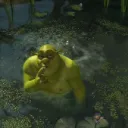 The Swamp