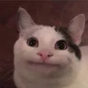 Spooky_Shadows1234's server's icon