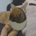 CENTURY EGG