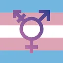 Blaze's Trans Server
