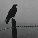 Abandoned | Community