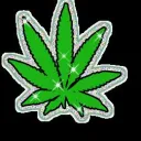 Weed Paradise🌿