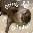 ˚₊۶ৎ˙⋆ Otterly Lodge ‹𝟑.ᐟ