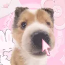 🌺🦐The Shrimp Cove🦐🌺