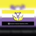 Nonbinair Netwerk Nederland (NNN)