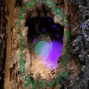 The Fairy Forest