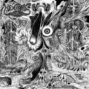 Catacomb Of Labyrinthine Veins