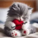 𝑆𝑝𝑎𝑟𝑘𝑙𝑖𝑛𝑔 𝑁𝑖𝑔𝘩𝑡  Discord Server Icon