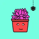 Nice FlowerPots