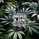 800Lbs Mantra Server