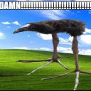 Cueziy funn e hideout