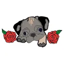 The Pug Room