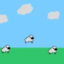 Where The Silly Sheep Gather