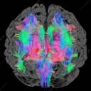 UCI Neurobiology