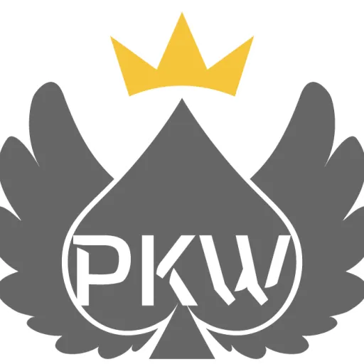 PokerWing — мониторинг Discord сервера, статистика и рейтинг