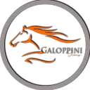 GaloppiniSims