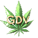 Grama do Vizinho Discord Server Icon – Education