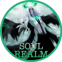 心Soul Realm Discord Server Icon