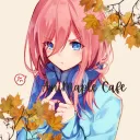 🍁AniMaple Cafe🍁