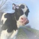 𝙲𝚘𝚠 𝙵𝚊𝚛𝚖 🚜🐄🌾