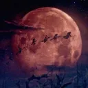  ⋆ ˚｡ House 𖦹  Harnkess ⋆｡° Discord Server Icon