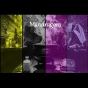 Mandragora