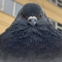 Dostlar Pide Salonu Discord server icon