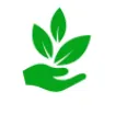 Sustainability Club at CSCC