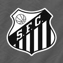 Santos Icon