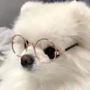 ひまじんさーばー