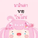 มาลินดาขายไนโตร&แอพพรีเมี่ยม ᶻ 𝗓 𐰁