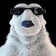 ❄ Gentle Polar Bear: NFT Project ❄