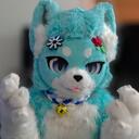 Cat Collective icon