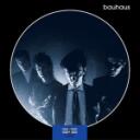 Bauhaus (band) Discord Server Icon