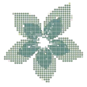 Vanilla Holding