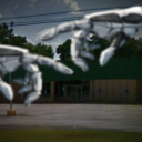 Mechanical Hands