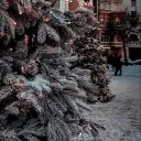 - —Gay Chill Lair -— Discord Server Icon