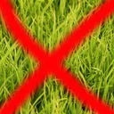 Tromato Grass Lackers