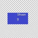 Shuang's Portfolio