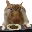 Discovery icon for Awesome Pri Discord server