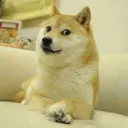 Doge's Community