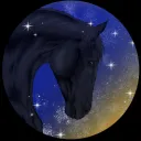 Late Night Dressage
