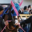 引退馬協会🐴応援牧場