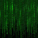Cardano Developers