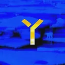 丫丫丫