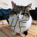 4b4f.org